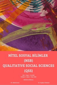Nitel Sosyal Bilimler